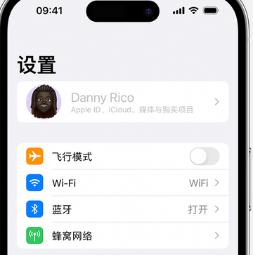 昆都仑appleID维修服务iPhone设置中Apple ID显示为灰色无法使用