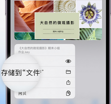 昆都仑apple维修中心分享iPhone文件应用中存储和找到下载文件