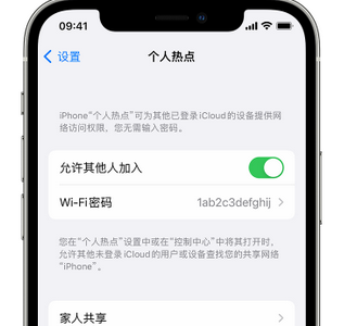 昆都仑apple服务站点分享iPhone上个人热点丢失了怎么办 