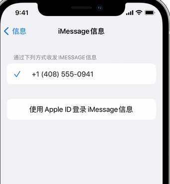 昆都仑apple维修iPhone上无法正常发送iMessage信息 