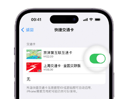 昆都仑apple维修点分享iPhone上更换Apple Pay快捷交通卡手绘卡面 