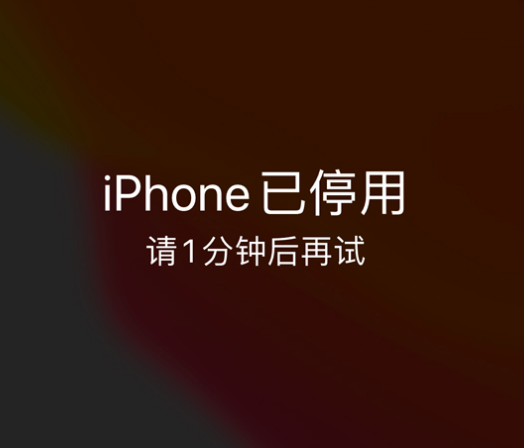 昆都仑苹果手机维修分享:iPhone 显示“不可用”或“已停用”怎么办？还能保留数据吗？ 