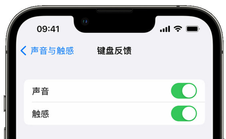 昆都仑苹果手机维修分享iPhone 14触感键盘使用方法 