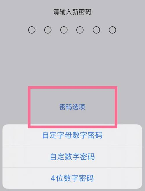 昆都仑苹果14维修分享iPhone 14plus设置密码的方法 