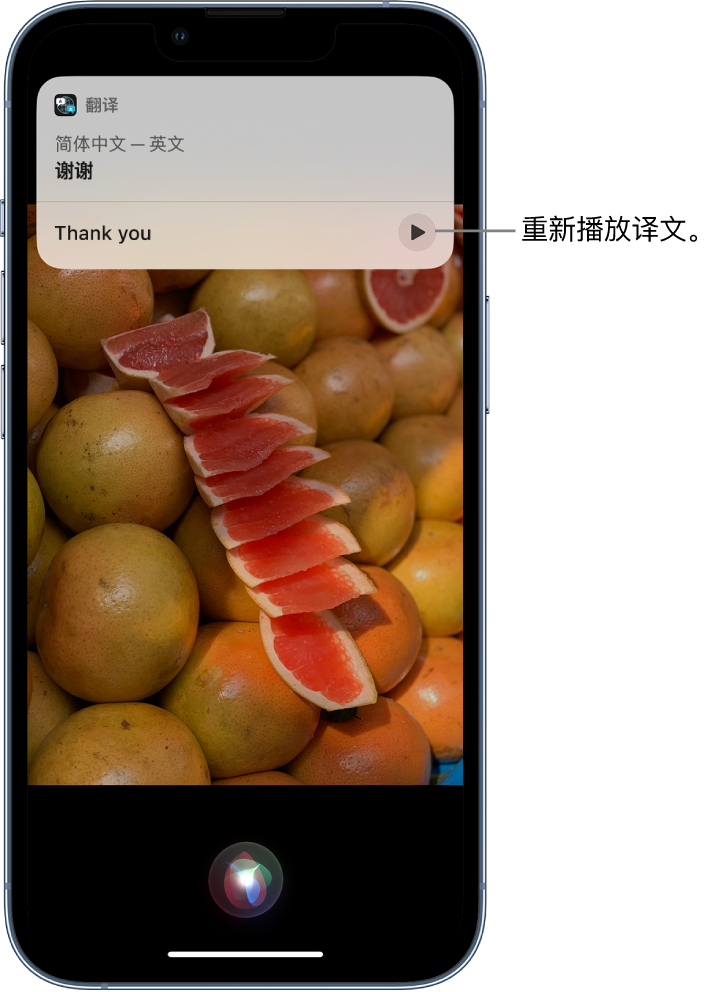 昆都仑苹果14维修分享 iPhone 14 机型中使用 Siri：了解 Siri 能帮你做什么 