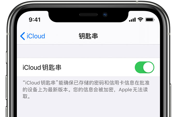 昆都仑苹果手机维修分享在 iPhone 上开启 iCloud 钥匙串之后会储存哪些信息 